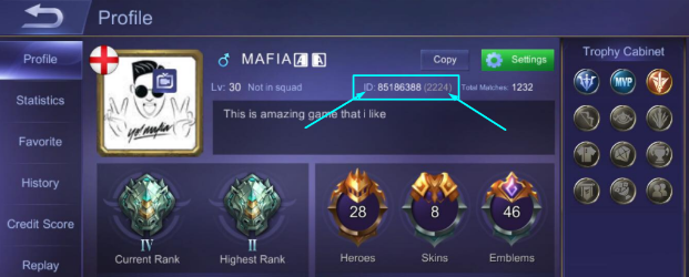 Mobile Legends